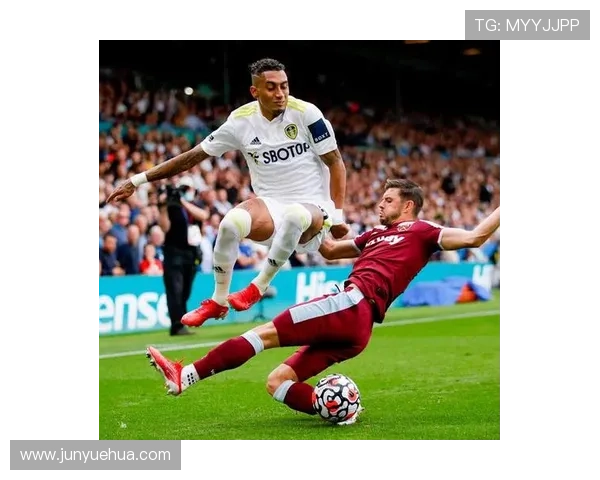 拉菲尼亚盘带技术分析